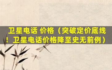 卫星电话 价格（突破定价底线！卫星电话价格降至史无前例）